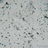 Алена Модель УЗТА-0,15/22-ОCy Изображение 4