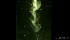Ультразвуковая кавитация. Ультразвуковой аппарат "Алена"